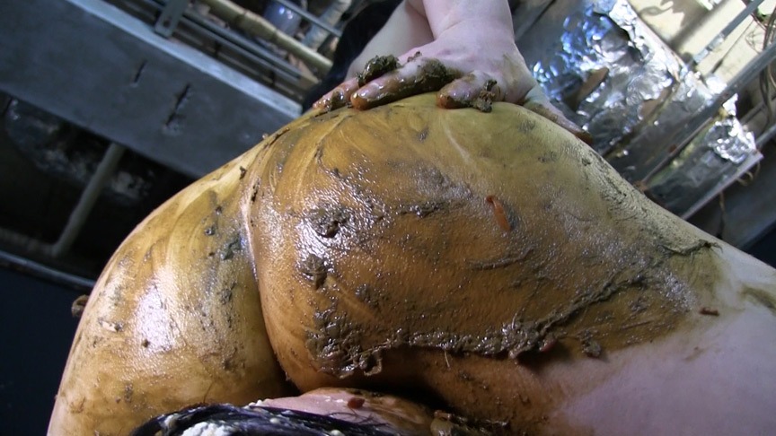 Fresh Excrement Direct Hit Veteran Anal / ベテランのアナルから放たれる極太の一本糞を顔面で受け止める汚辱 |  |  | 吃